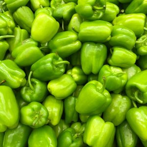 Capsicum
