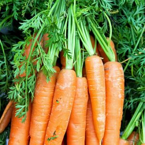 Carrots