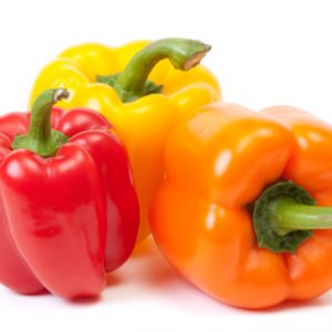 Capsicum