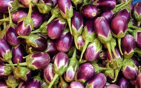 Brinjal