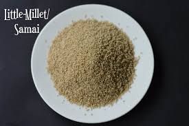 Millet Bajra