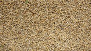 Millet Navane