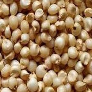 Corns