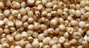 Corns