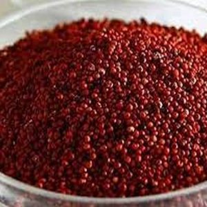 RAGI